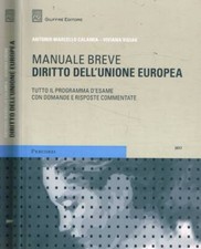 Diritto dell'Unione europea