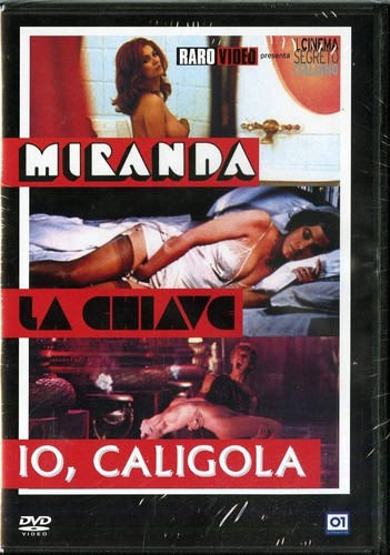 Box tinto brass - tinto,