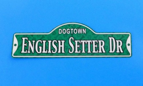 Dogtown setter inglese - inglese, ~