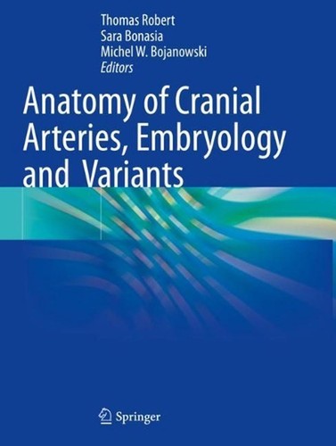 Anatomy cranial arteries - cranial,
