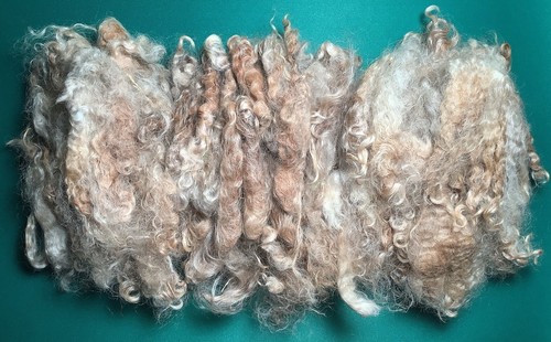 Fibra mohair angora 07 - fibra,