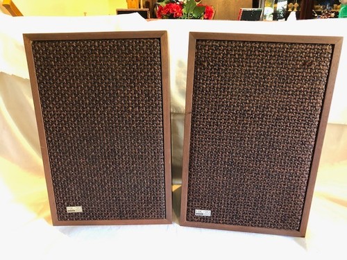 Coppia altoparlanti vintage - coppia, di