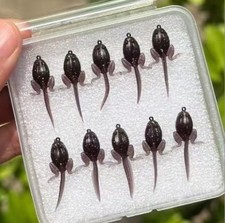 Morbida esca galleggiante per