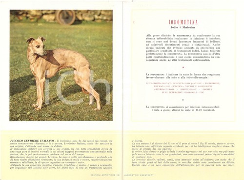 1956 milano laboratori - milano,