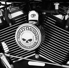COVER CLACSON TROMBA HARLEY DAVIDSON WILLIE SKULL SPORTSTER DYNA SOFTAIL TOURING