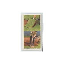 1923 Wills' Cigarettes Garden