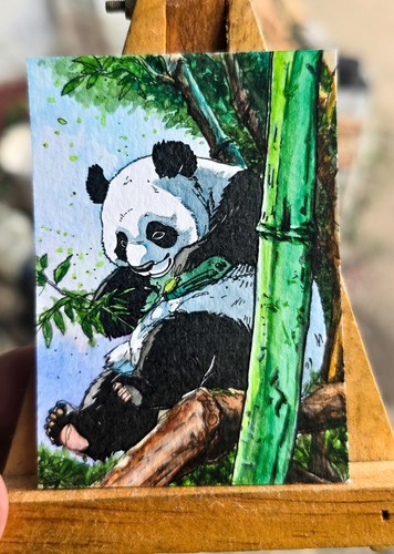 Acquerello originale aceo - acquerello,