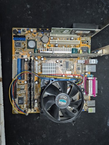 Scheda madre asus - scheda,