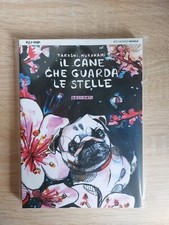 Cane che guarda stelle - cane,