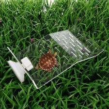  Vasca Tartarughe D'acqua Per