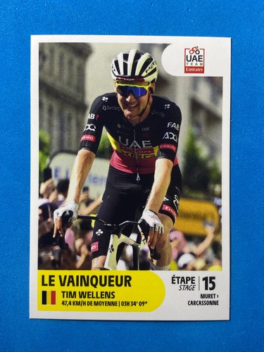 Figurine stickers panini - figurine,