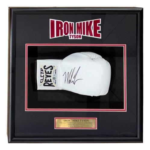 Guantone boxe firmato mike - guantone, da