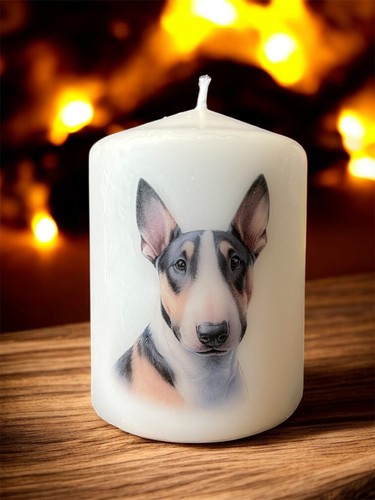 Candela cane bull terrier - , in