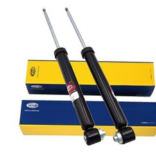 2 ammortizzatori a gas