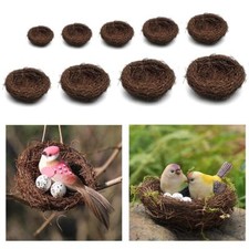 VARIE Dimensioni   Uccello