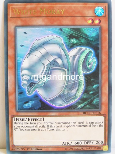 018 white moray - white,