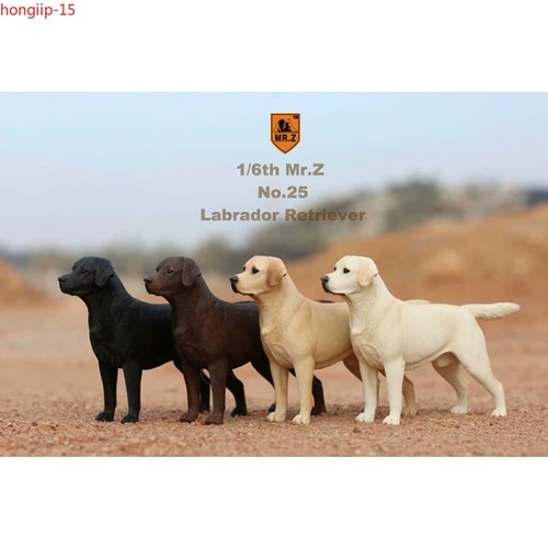 Statua cane animale - , domestico