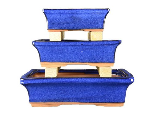 Vasi per bonsai rettangolari