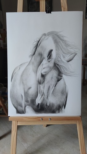 Quadro cavallo disegnato a - cavallo,