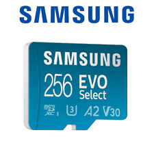 Scheda Micro SD 256 GB EVO