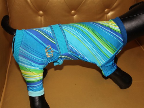 8796_Angeldog_Abbigliamento