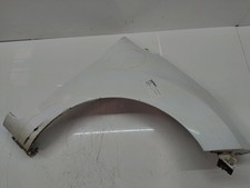 Frost White Right Side Fender