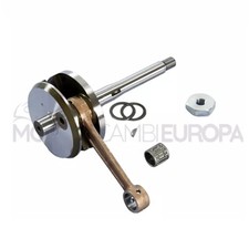 210.0074 ALBERO MOTORE POLINI