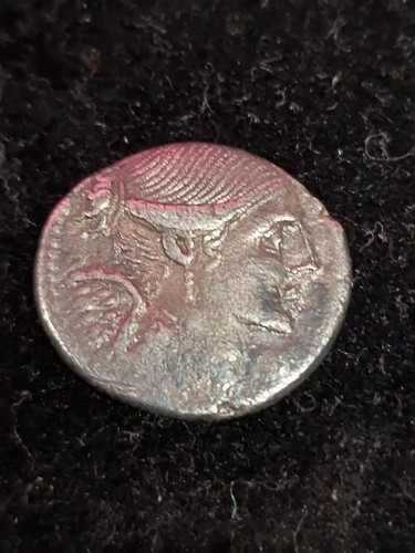 Collezione monete romane - collezione,