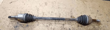 46308229 semialbero ant - semialbero,
