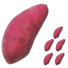  6 pezzi di schiume finte di