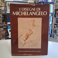 I DISEGNI DI MICHELANGELO
