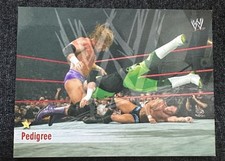 ⭐️CARD WWE WORLD WRESTLING RAW 2004 Pedigree n 068 ⭐️