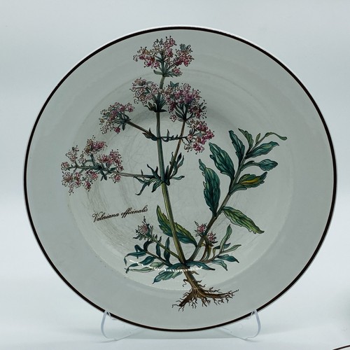Villeroy boch botanica 1x - villeroy,