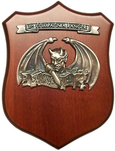 Crest alpini compagnia - crest, 1°