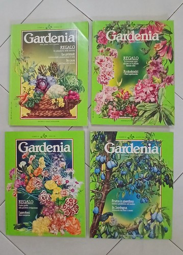 Rivista gardenia 1987 numeri - gardenia,