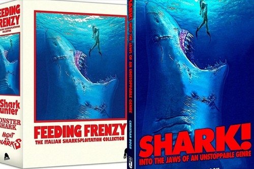 Feeding frenzy - feeding,