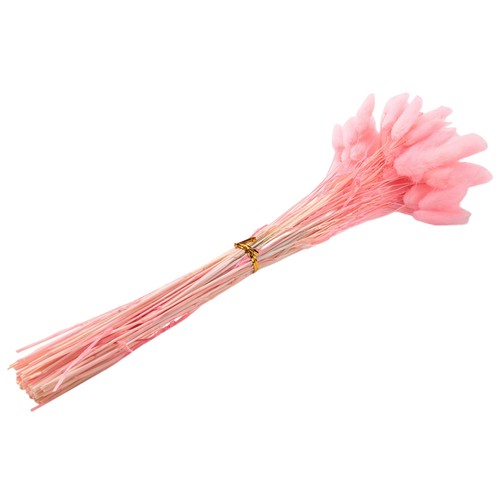 60pcs fleurs séchées - 60pcs,