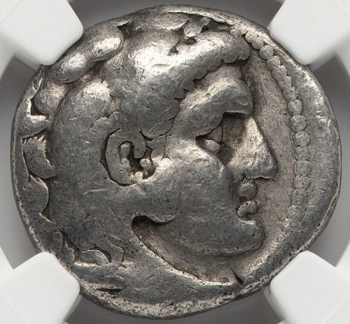 Seleucus nicator 312 281 - seleucus,