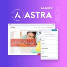 Astra Pro Theme Addon -