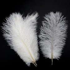 KiKiHong 10 Pezzi Piume di