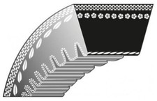 Cinghia avanzamento retromarcia dentatura interna ROQUES ET LECOEUR disboscatore