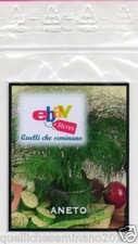 500 SEMI DI ANETO " Anethum graveolens"  officinale aromatica -spezie- cucina