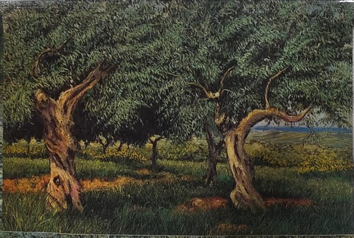 Lotto cartoline franco - lotto,