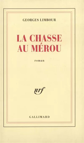 Chasse mérou g - chasse, au