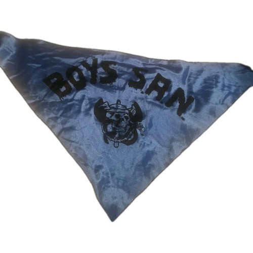 Ultras inter boys a - ultras,