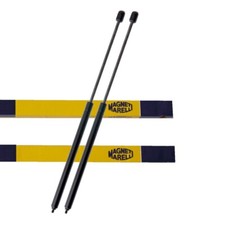 2 molle a gas ammortizzatori