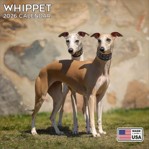 Whippet calendar 2026 - 2026,