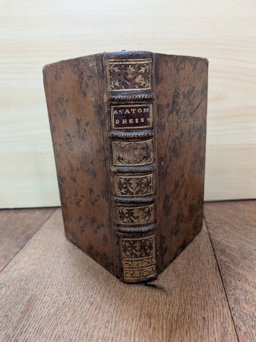 Libro antico anatomia di - antico, l'anatomia