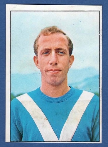 Figurina calciatori panini - figurina,