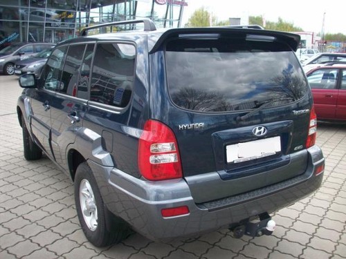 Hyundai terracan gabbia - hyundai,
